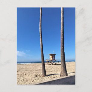 Blackies, Newport Beach, California Postcard