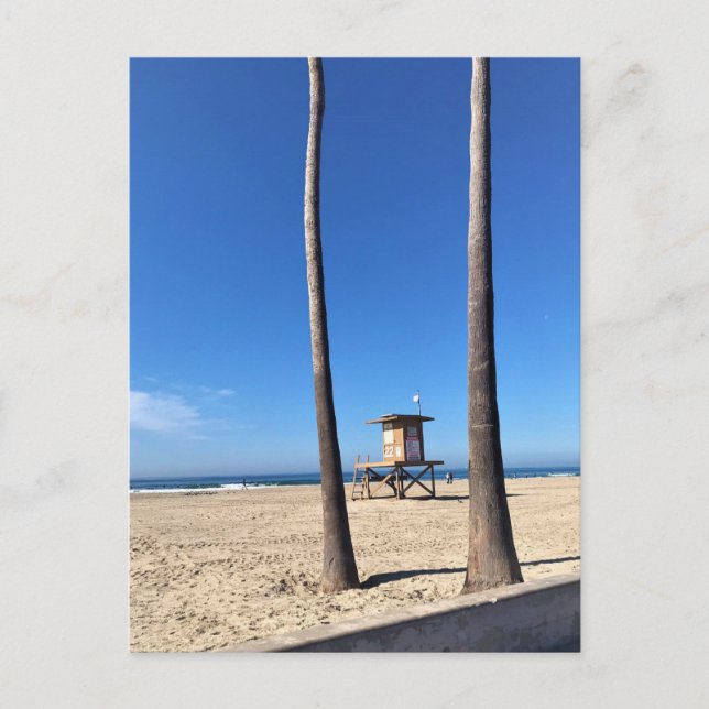 Blackies, Newport Beach, California Postcard (Front)