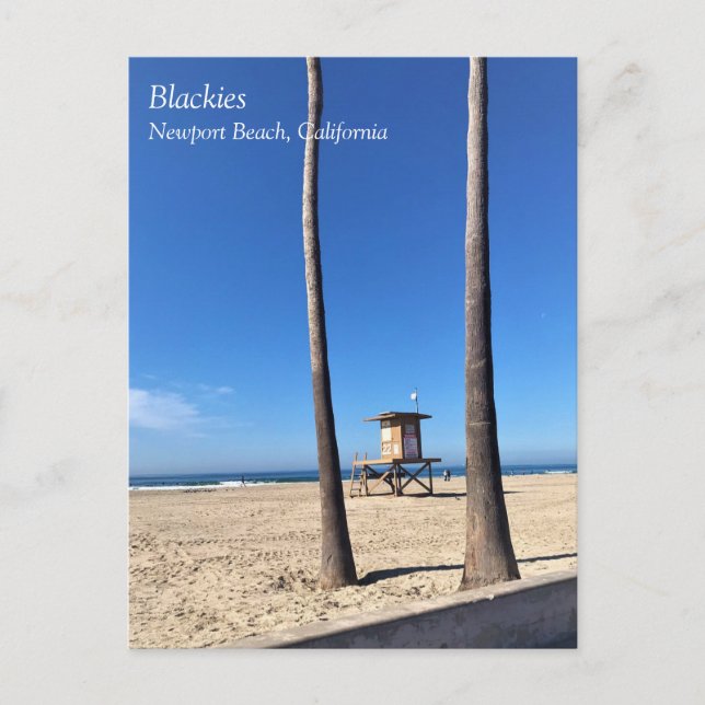 Blackies, Newport Beach, California Postcard (Front)