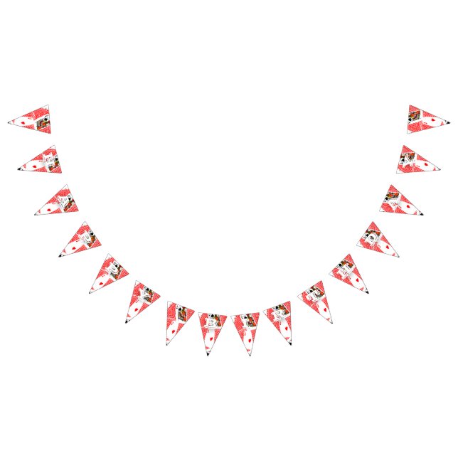 Blackjack Bunting (All)