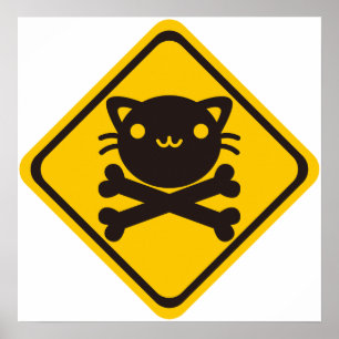 BlackJack(Cat) Poster