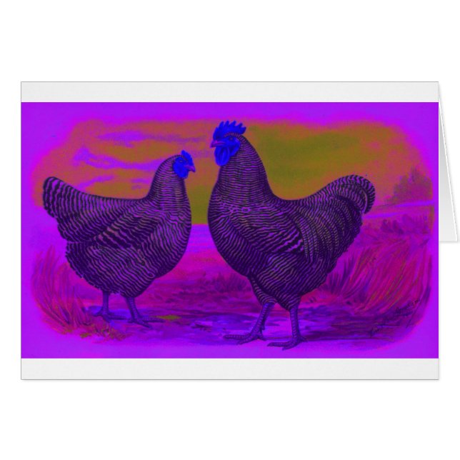 BlackLight (Front Horizontal)