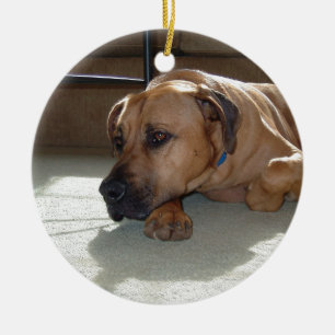 blackmouth cur laying ceramic tree decoration
