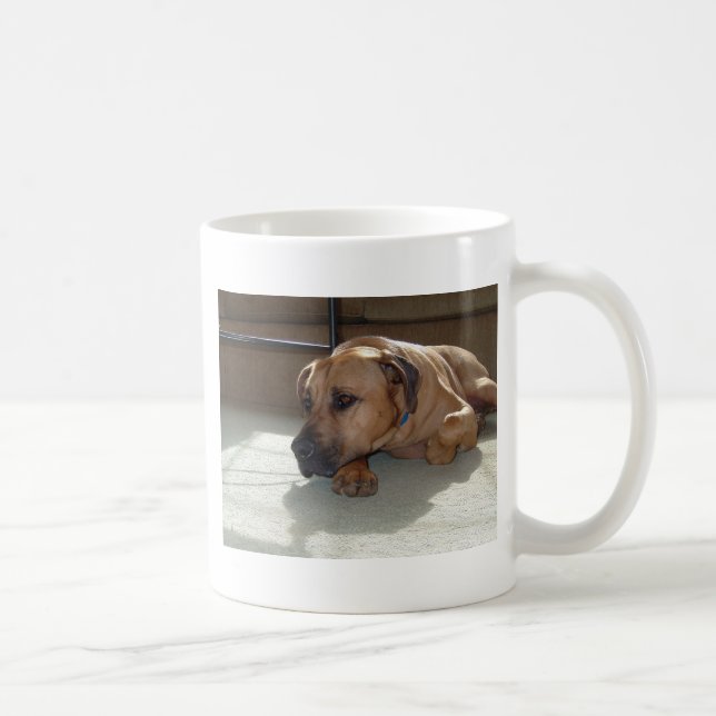 blackmouth cur laying coffee mug (Right)