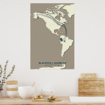 Blackpoll Warbler Migration Map – Minimalist