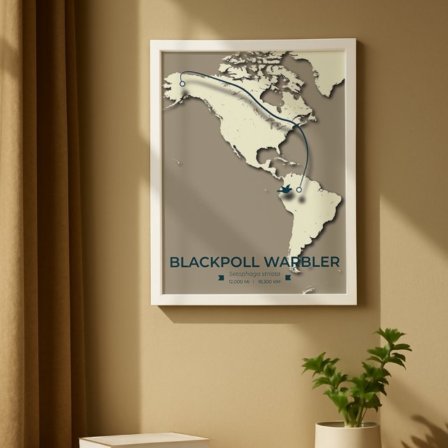 Blackpoll Warbler Migration Map – Minimalist  Poster (Creator Uploaded)