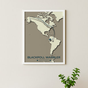 Blackpoll Warbler Migration Map – Minimalist Poster
