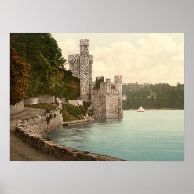 Blackrock Castle Cork Ireland Poster (Front)