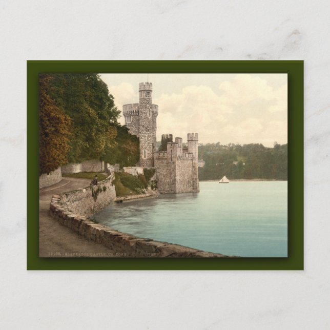 Blackrock Castle. County Cork, Ireland Postcard (Front)