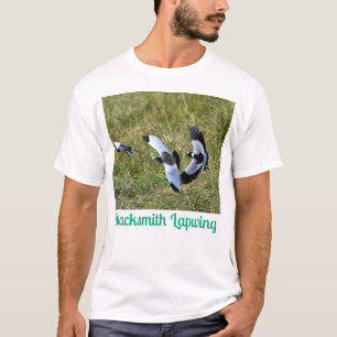 Blacksmith Lapwing – Quick Facts: T-Shirt
