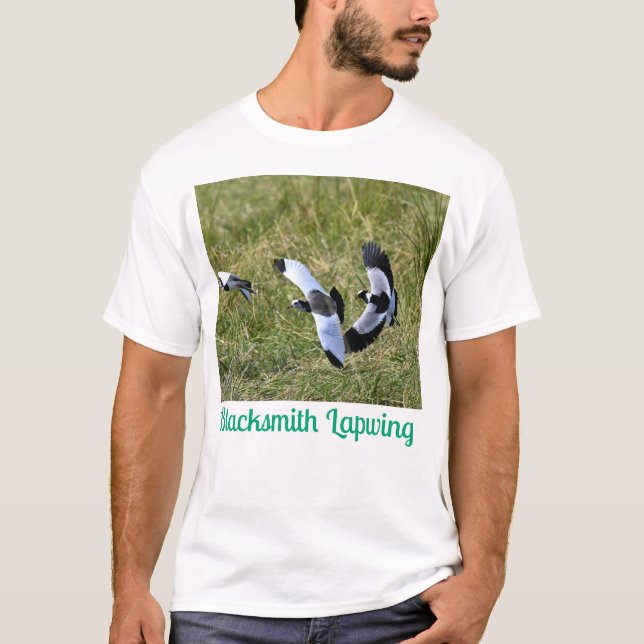 Blacksmith Lapwing – Quick Facts: T-Shirt (Front)
