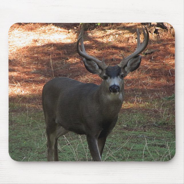 Blacktail Buck Mousepad (Front)