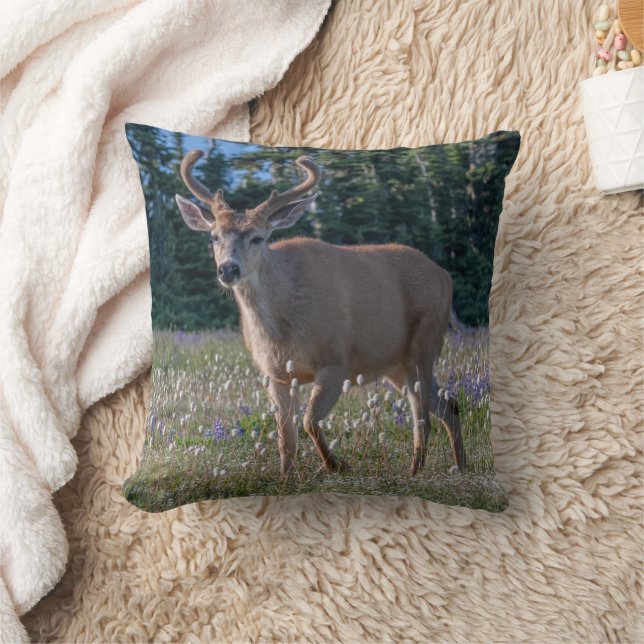 Blacktail Deer Buck | Olympic National Park Cushion (Blanket)