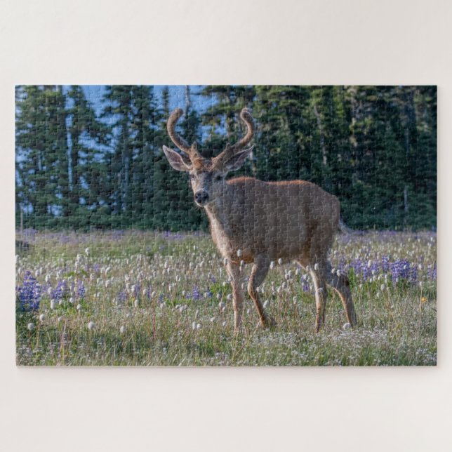 Blacktail Deer Buck | Olympic National Park Jigsaw Puzzle (Horizontal)