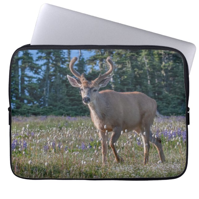 Blacktail Deer Buck | Olympic National Park Laptop Sleeve (Front)