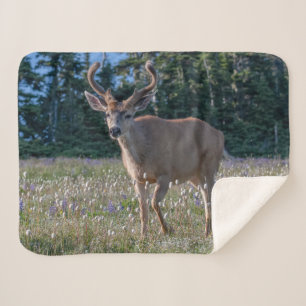 Blacktail Deer Buck   Olympic National Park Sherpa Blanket