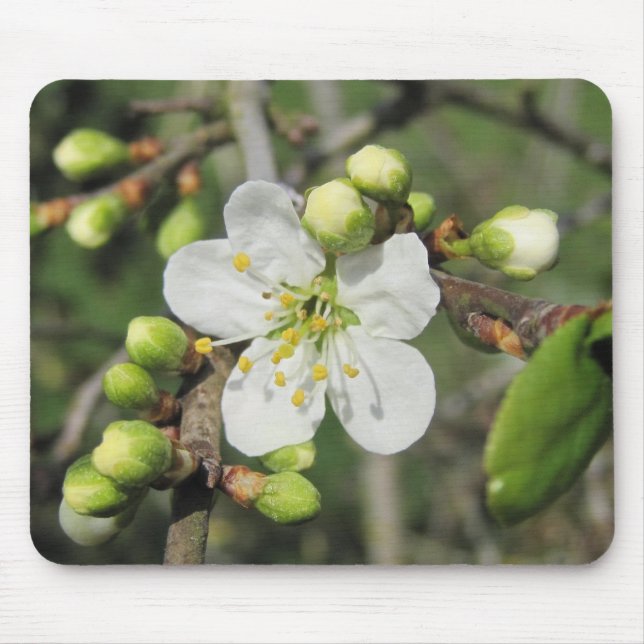 Blackthorn Mouse Mat (Front)