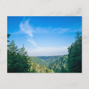 Blackwater Canyon, West Virginia Postcard