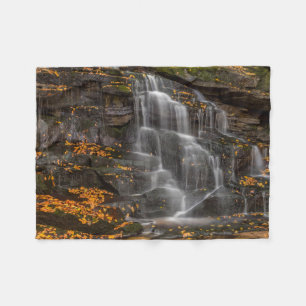 Blackwater Falls State Park Fleece Blanket