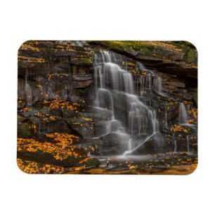 Blackwater Falls State Park Magnet