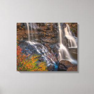 Blackwater Falls State Park   West Virginia Canvas Print