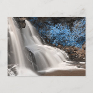 Blackwater Falls State Park West Virginia USA Postcard