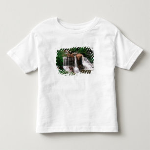 Blackwater Falls, West Virginia, scenic, Toddler T-Shirt