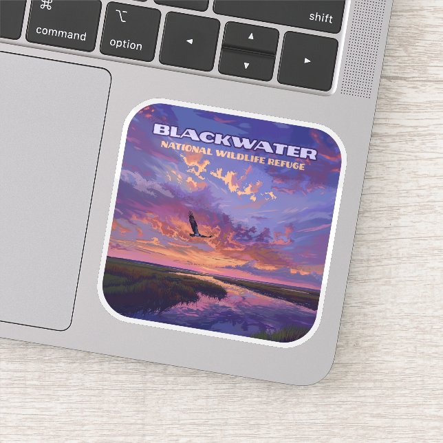 Blackwater National Wildlife Refuge Park Maryland  (Detail)