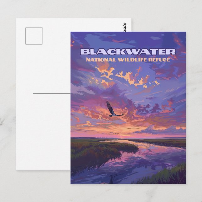 Blackwater National Wildlife Refuge Park Maryland  Postcard (Front/Back)