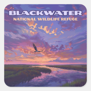 Blackwater National Wildlife Refuge Park Maryland  Square Sticker