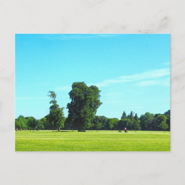 Blackweir Fields. Bute Park, Cardiff, Wales. Postcard (Front)