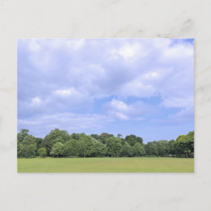 Blackweir Fields. Bute Park, Cardiff, Wales. Postcard