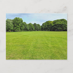 Blackweir Fields, Bute Park, Cardiff, Wales. Postcard