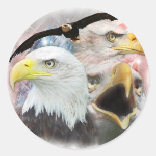 Blad Eagles Classic Round Sticker