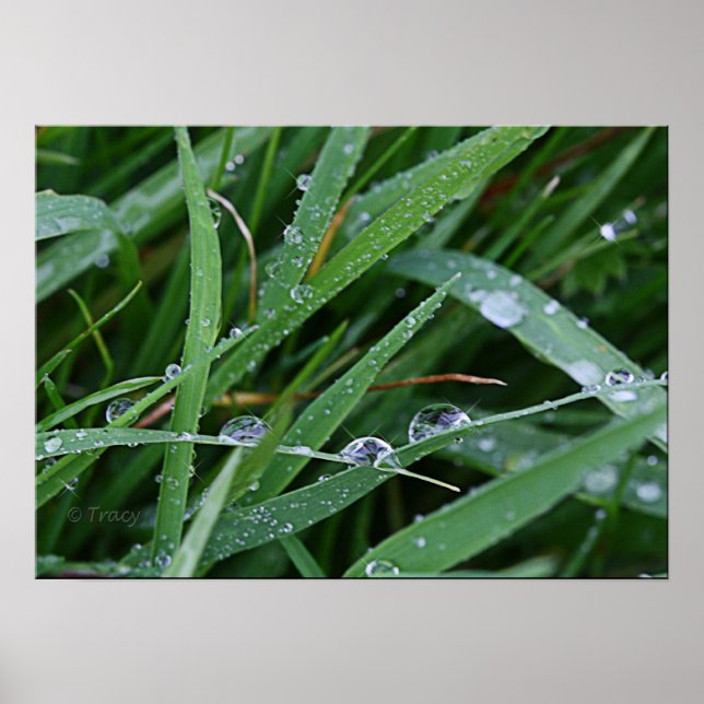 Blade Runner Poster (Front)