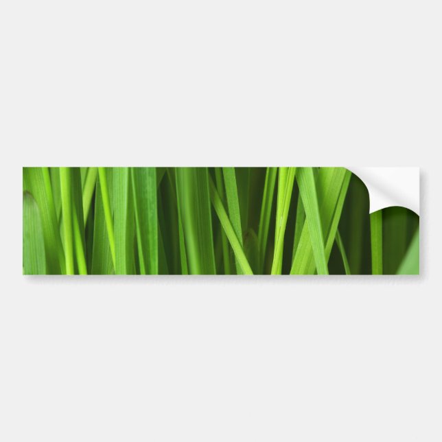 Blades of Grass Bumper Sticker (Front)