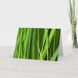 Blades of Grass Card