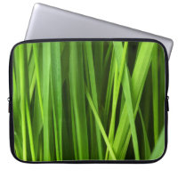 Blades of Grass