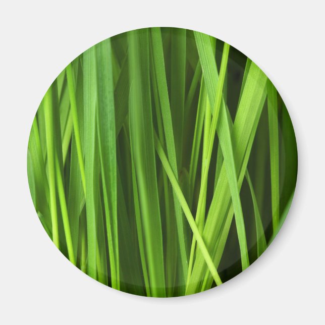 Blades of Grass Magnet (Front)