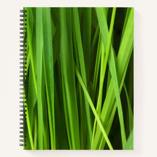 Blades of Grass Notebook (Front)