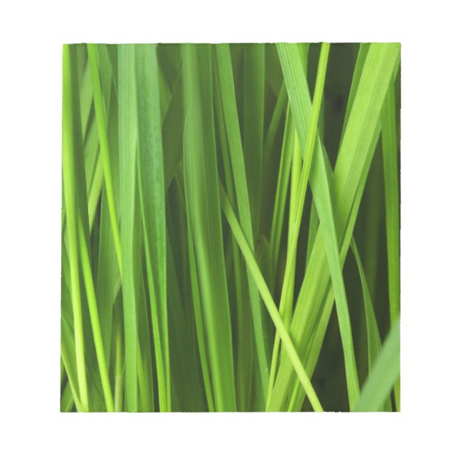 Blades of Grass Notepad (Front)