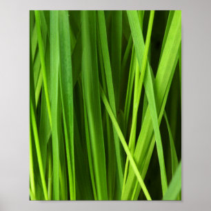 Blades of Grass Poster