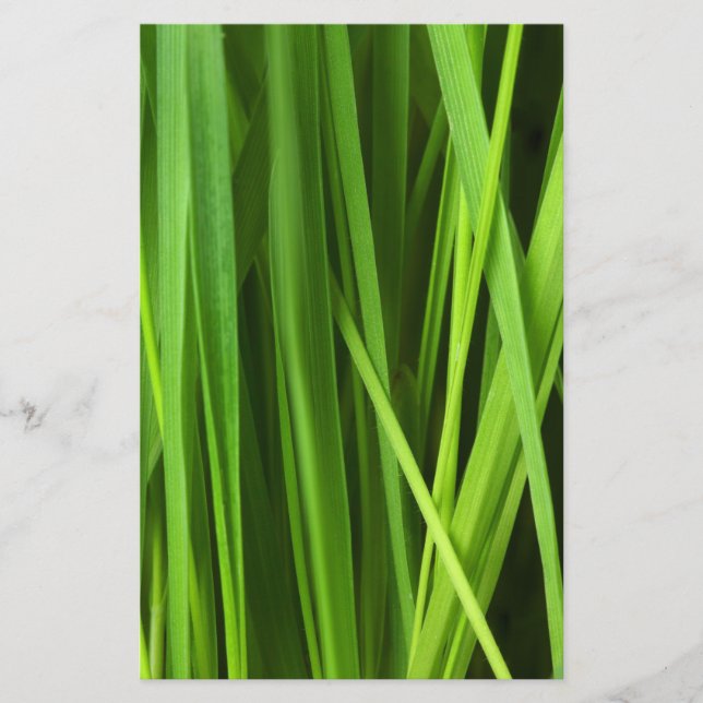Blades of Grass Stationery (Front)