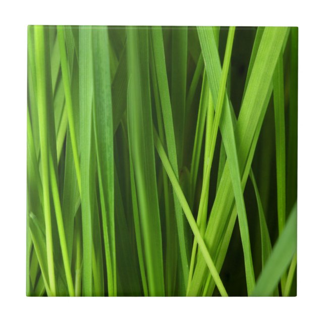 Blades of Grass Tile (Front)