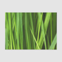 Blades of Grass