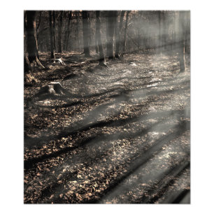 Blair Witch....over there! Photo Print