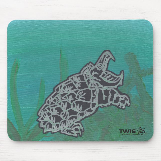 #blairsanimalcorner snapping turtle mouse pad (Front)