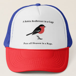 Blake Robin Quote Animals Baseball Hat