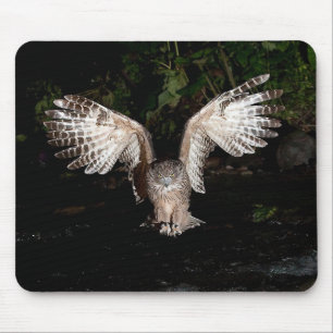 Blakiston's fish owl mouse mat