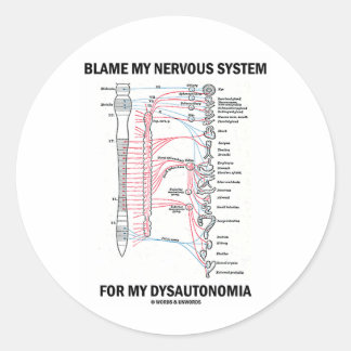 Blame My Nervous System For My Dysautonomia Classic Round Sticker